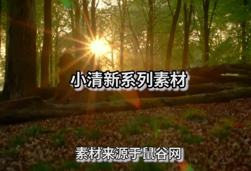 1712069167758768.png image.png