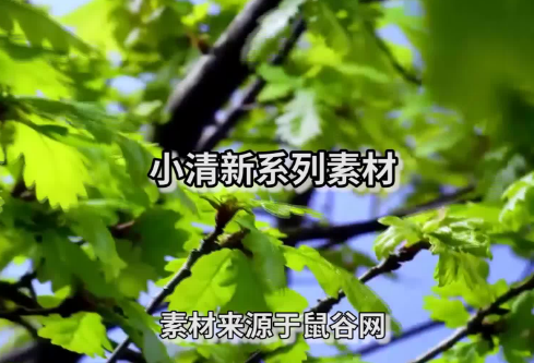 1712070164466140.png image.png