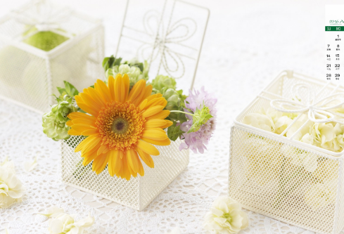 1712070995762371.png image.png