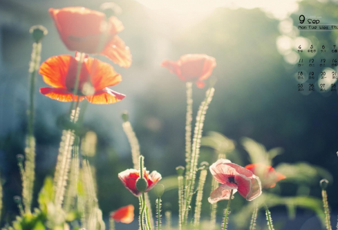 1712071659102483.png image.png