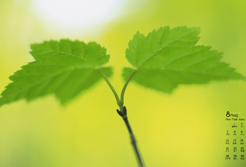 1712072323893977.png image.png