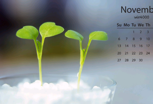 1712072987803192.png image.png