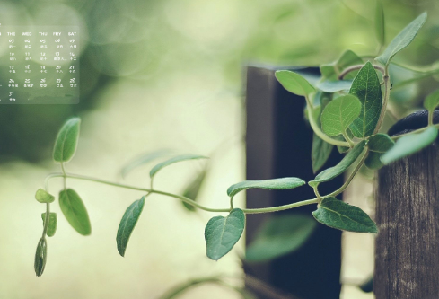 1712074151940798.png image.png