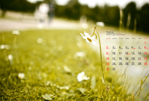 1712075314489490.png image.png