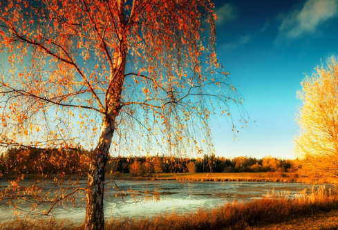 1712083919693722.png image.png