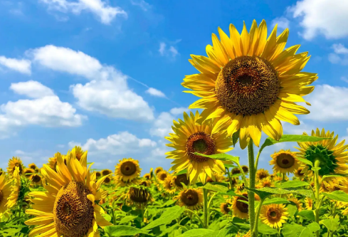 1712084583898582.png image.png