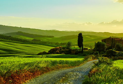 1712084749369469.png image.png