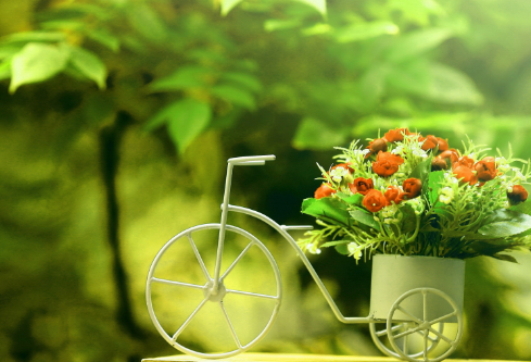 1712085081799702.png image.png