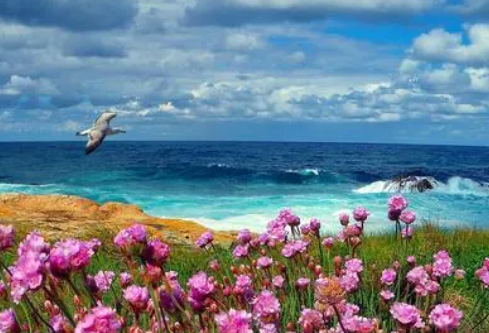 1712085248111698.png image.png