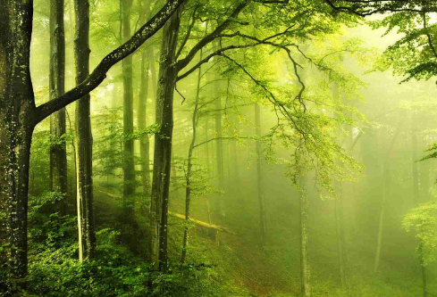 1712086743569218.png image.png