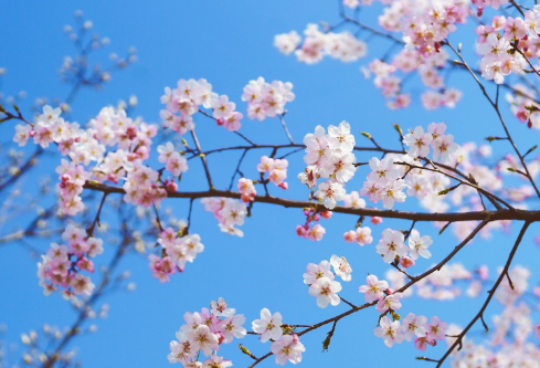 1712087076876351.png image.png