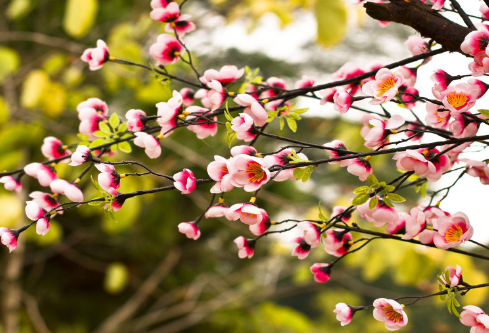 1712087906940843.png image.png