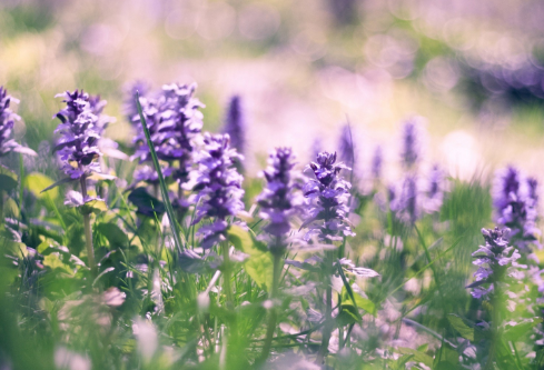 1712089568174038.png image.png