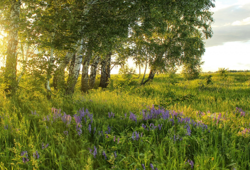 1712090232413657.png image.png