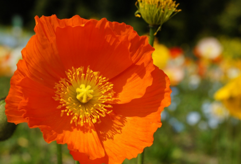 1712092558171500.png image.png