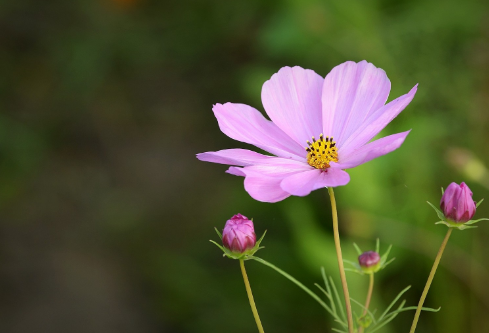 1712092724824465.png image.png