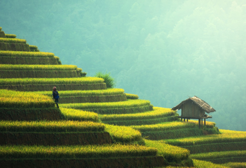 1712093057601335.png image.png