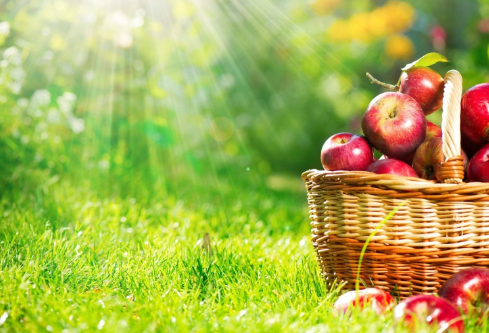 1712094386228132.png image.png