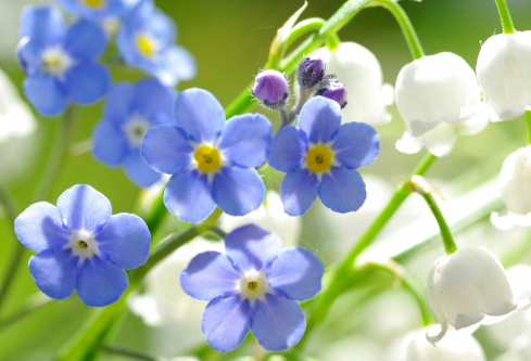 1712094552308805.png image.png