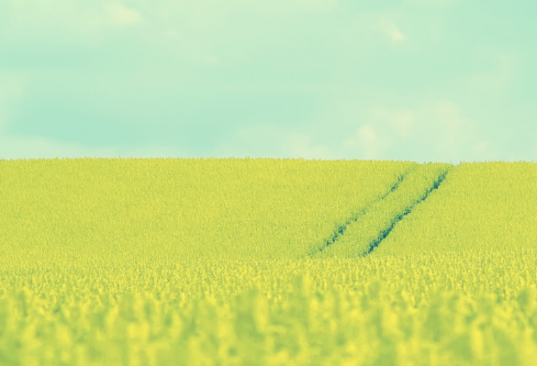 1712095216668974.png image.png