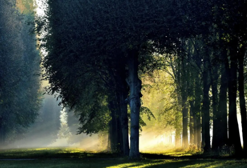 1712095548177309.png image.png