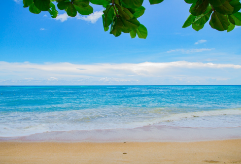 1712095880527536.png image.png