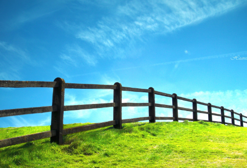 1712096710412216.png image.png