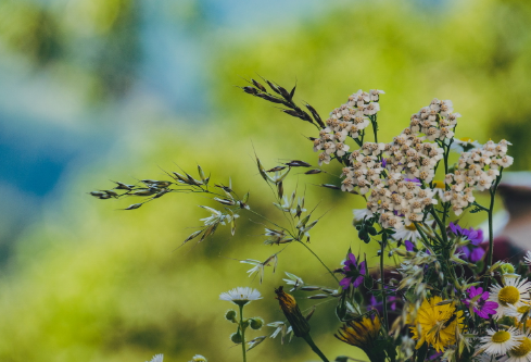 1712097043441312.png image.png