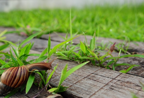 1712097209764774.png image.png