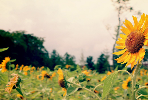 1712097541859112.png image.png