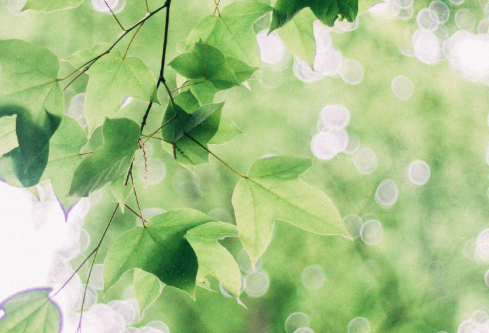 1712097707720930.png image.png