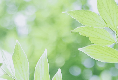 1712098040671733.png image.png