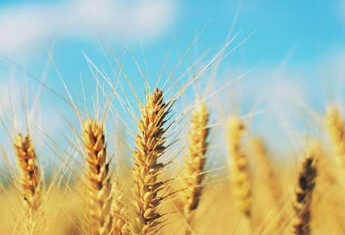 1712098207996012.png image.png