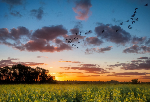 1712099038854404.png image.png