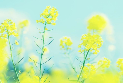 1712099536903751.png image.png