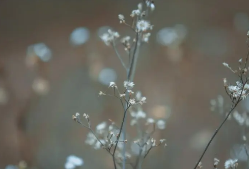 1712100034232966.png image.png