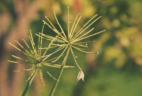 1712100367279654.png image.png