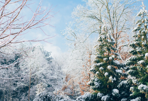 1712100865218094.png image.png