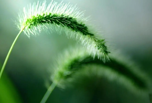 1712101696529863.png image.png