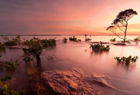 1712102195379066.png image.png