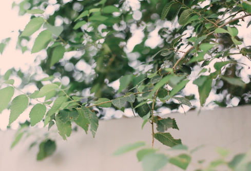 1712102527650091.png image.png