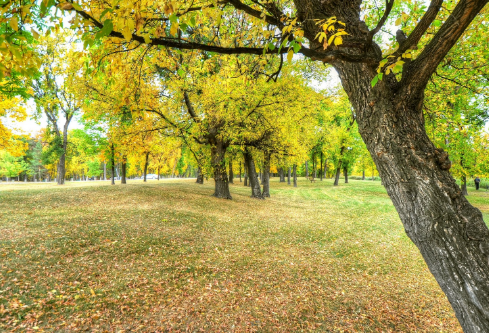 1712103191152066.png image.png