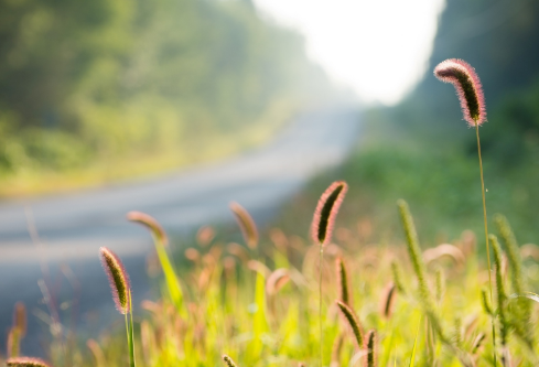 1712103357712384.png image.png