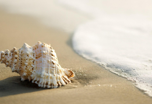 1712104852617641.png image.png