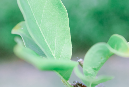 1712105018236109.png image.png