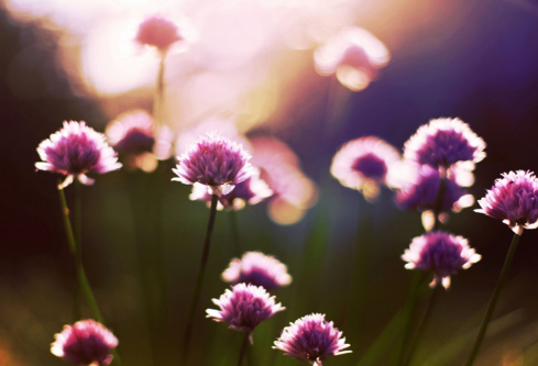 1712105350796927.png image.png