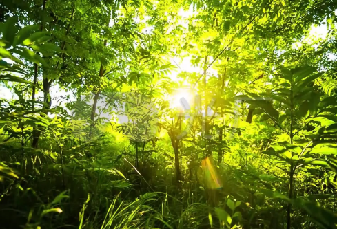 1712106346172957.png image.png