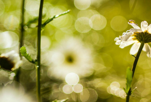 1712106513559570.png image.png