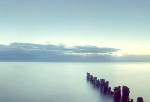 1712106678415003.png image.png