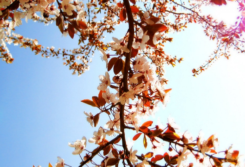 1712107011978580.png image.png